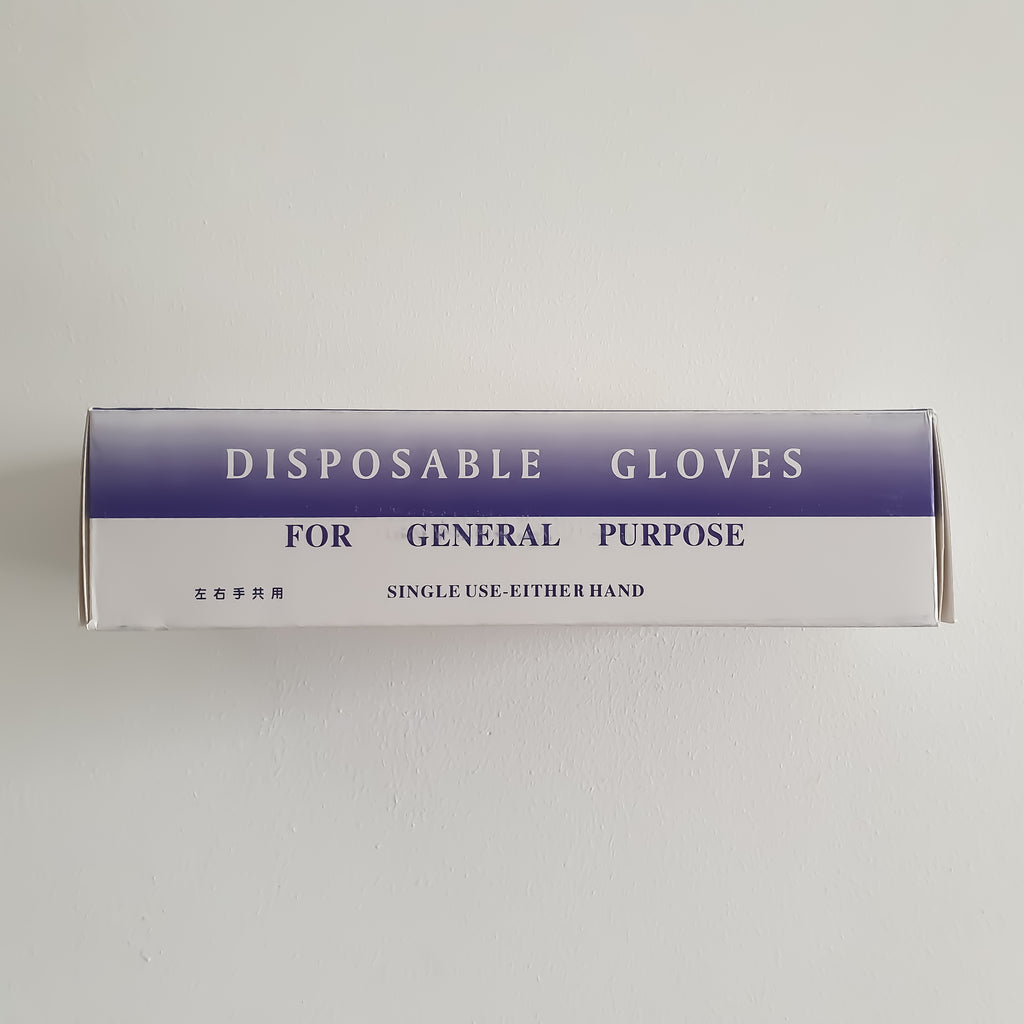 Disposable Gloves (Vinyl)